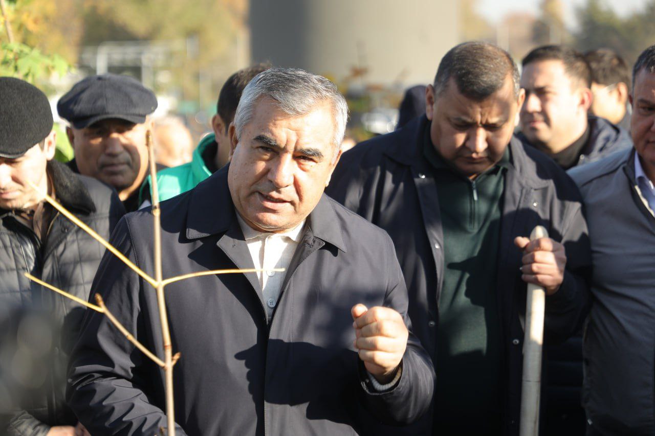 "Yashil shahar" loyihasi asosida ko‘chat ekish tadbirlari ko‘tarinki ruhda o‘tmoqda