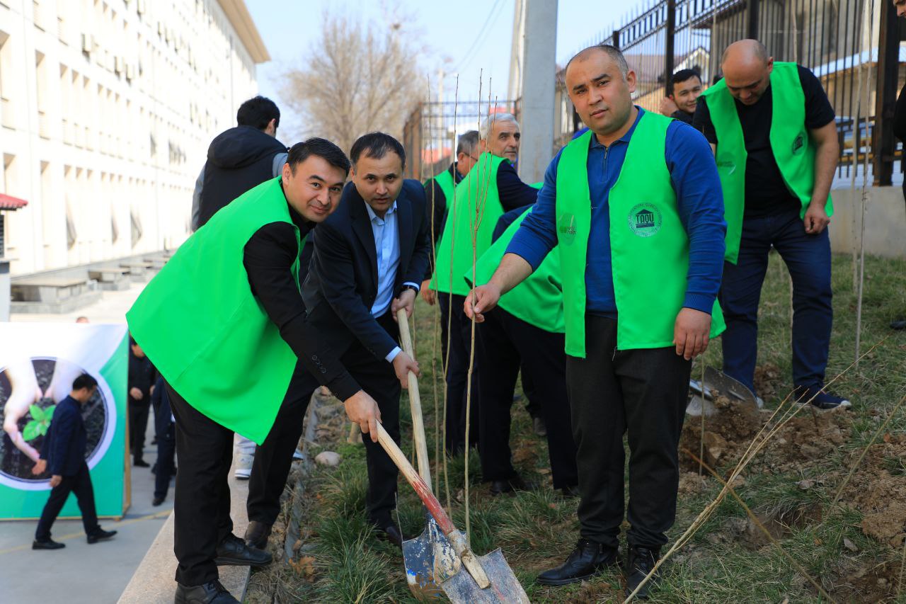 Toshkent arxitektura-qurilish universitetida “Yashil makon” umummilliy loyihasi doirasida ko‘chat ekish aksiyasi tashkil etildi