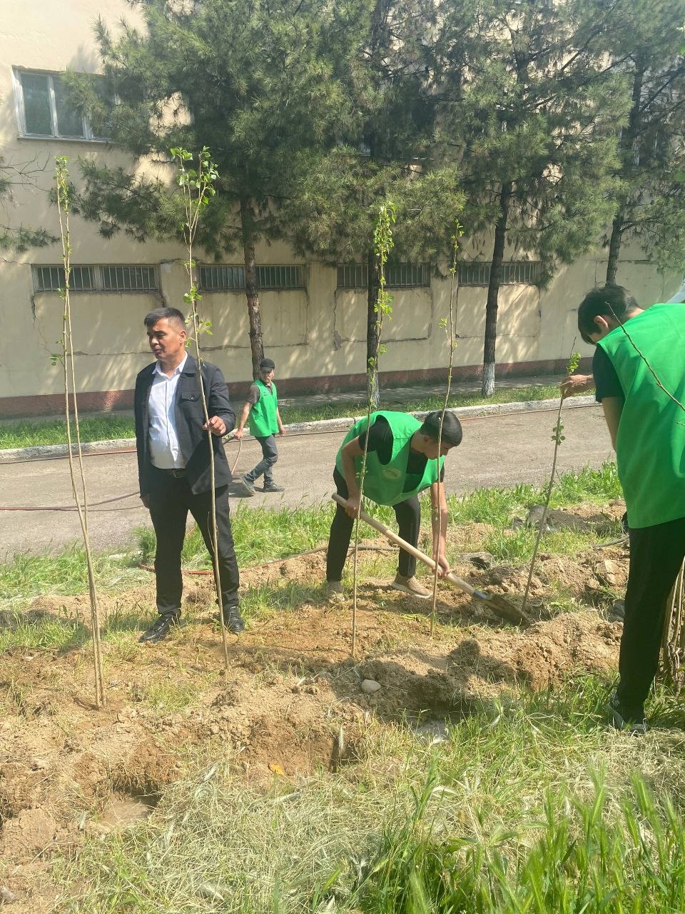 Toshkent arxitektura-qurilish universitetida “Eko faol” ko‘chat ekish tadbiri tashkil etildi